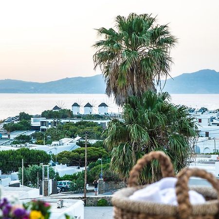 Aparthotel Dimele Mykonos Town Exterior foto