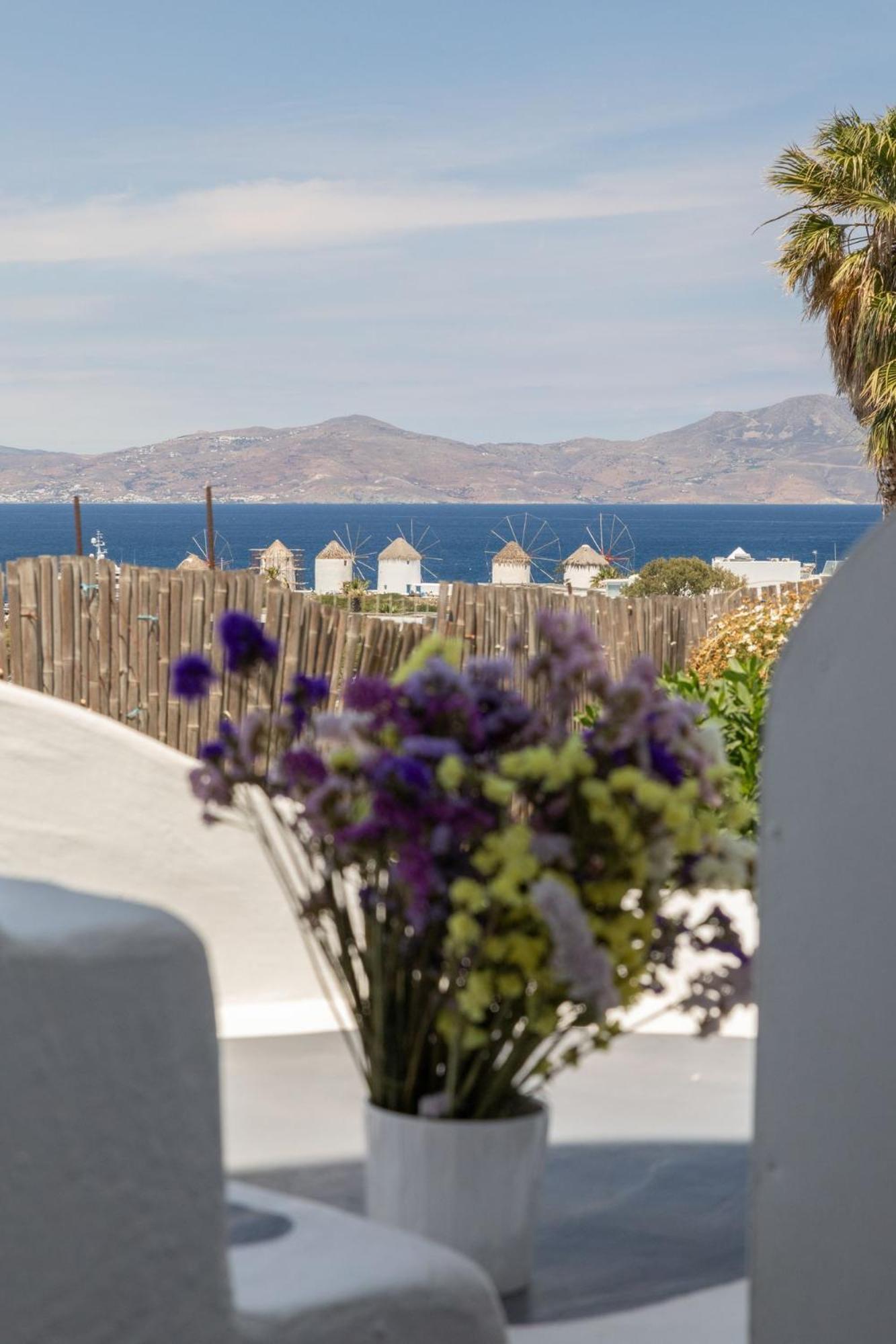 Aparthotel Dimele Mykonos Town Exterior foto